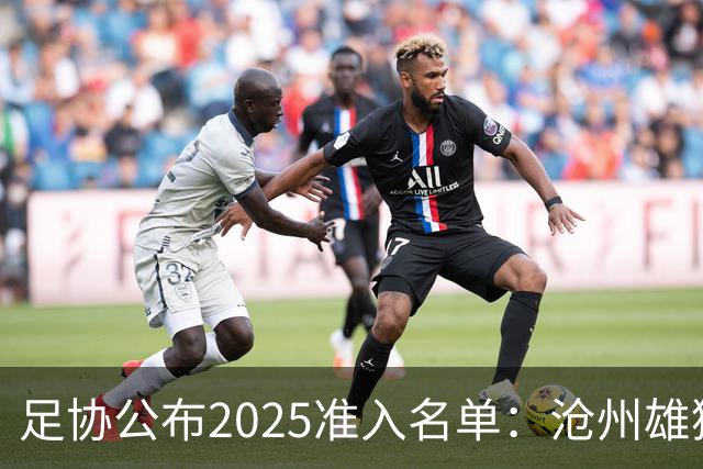 足协公布2025准入名单：沧州雄狮、广州队无缘